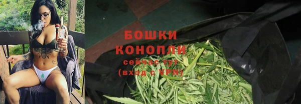 тгк Богданович