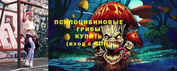 тгк Богданович