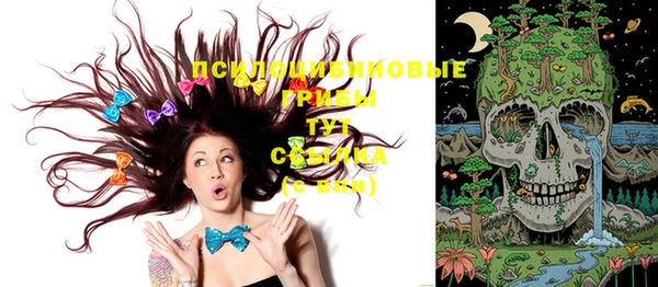 тгк Богданович