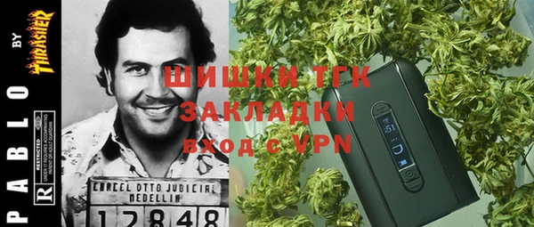 тгк Богданович