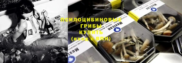 тгк Богданович